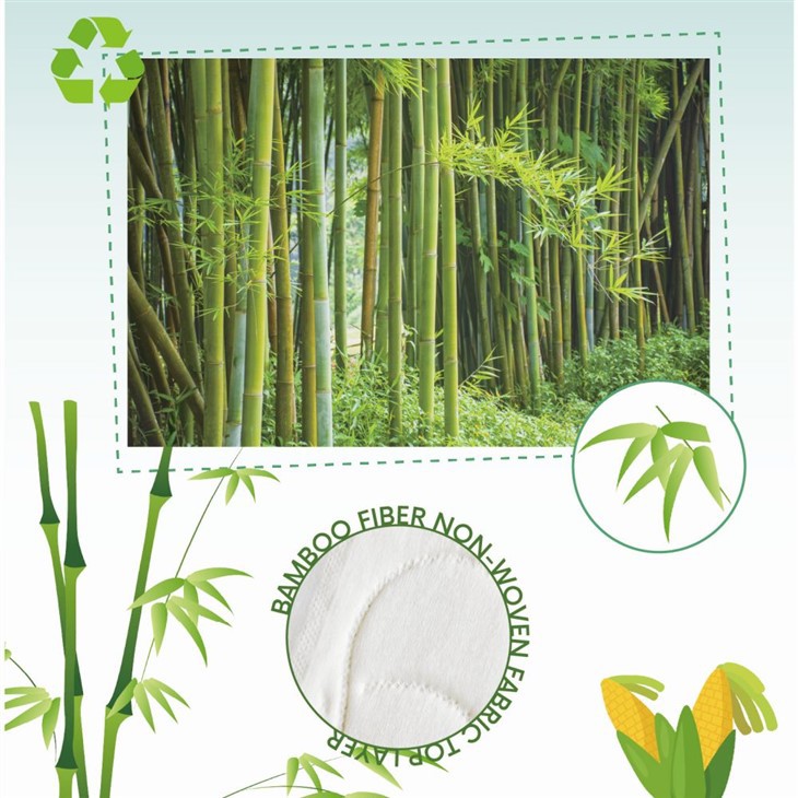 Pant Style Cloth Diaper